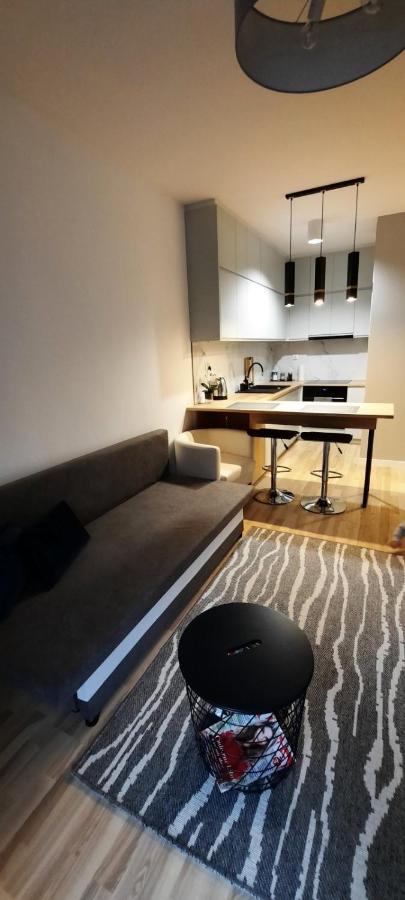 Apartament Wiosenna เบียวิสตอก ภายนอก รูปภาพ